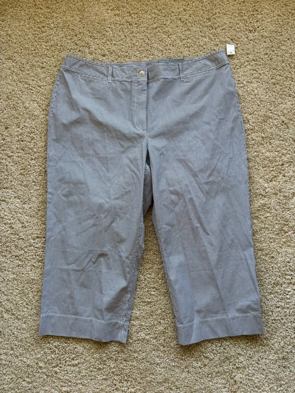 Talbots Wide Leg Crop‎ Chino Pants Blue White Stripe High Rise 20W NWT